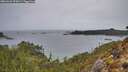./images/calvert/foggy-cove/20260324/foggy-cove20260324_075001M.jpg