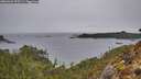 ./images/calvert/foggy-cove/20260324/foggy-cove20260324_075501M.jpg