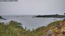 ./images/calvert/foggy-cove/20260324/foggy-cove20260324_080001M.jpg