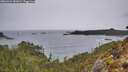 ./images/calvert/foggy-cove/20260324/foggy-cove20260324_081001M.jpg