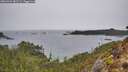 ./images/calvert/foggy-cove/20260324/foggy-cove20260324_081502M.jpg