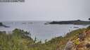 ./images/calvert/foggy-cove/20260324/foggy-cove20260324_082001M.jpg