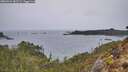 ./images/calvert/foggy-cove/20260324/foggy-cove20260324_082501M.jpg