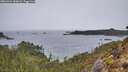 ./images/calvert/foggy-cove/20260324/foggy-cove20260324_084001M.jpg