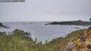 ./images/calvert/foggy-cove/20260324/foggy-cove20260324_085001M.jpg