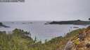 ./images/calvert/foggy-cove/20260324/foggy-cove20260324_085501M.jpg