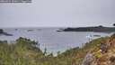 ./images/calvert/foggy-cove/20260324/foggy-cove20260324_092001M.jpg