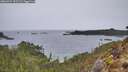 ./images/calvert/foggy-cove/20260324/foggy-cove20260324_092501M.jpg