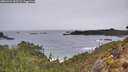 ./images/calvert/foggy-cove/20260324/foggy-cove20260324_095501M.jpg