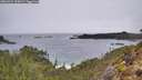 ./images/calvert/foggy-cove/20260324/foggy-cove20260324_100001M.jpg