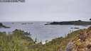 ./images/calvert/foggy-cove/20260324/foggy-cove20260324_100501M.jpg