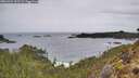 ./images/calvert/foggy-cove/20260324/foggy-cove20260324_102502M.jpg