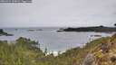 ./images/calvert/foggy-cove/20260324/foggy-cove20260324_103001M.jpg