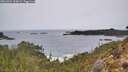 ./images/calvert/foggy-cove/20260324/foggy-cove20260324_110002M.jpg