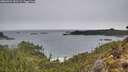 ./images/calvert/foggy-cove/20260324/foggy-cove20260324_131501M.jpg