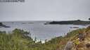 ./images/calvert/foggy-cove/20260324/foggy-cove20260324_133501M.jpg