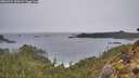 ./images/calvert/foggy-cove/20260324/foggy-cove20260324_135002M.jpg