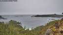 ./images/calvert/foggy-cove/20260324/foggy-cove20260324_135501M.jpg