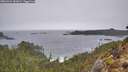 ./images/calvert/foggy-cove/20260324/foggy-cove20260324_142001M.jpg