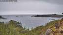 ./images/calvert/foggy-cove/20260324/foggy-cove20260324_143502M.jpg