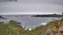 ./images/calvert/foggy-cove/20260324/foggy-cove20260324_144501M.jpg