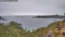 ./images/calvert/foggy-cove/20260324/foggy-cove20260324_151001M.jpg