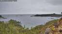 ./images/calvert/foggy-cove/20260324/foggy-cove20260324_152501M.jpg