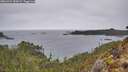 ./images/calvert/foggy-cove/20260324/foggy-cove20260324_155001M.jpg