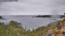 ./images/calvert/foggy-cove/20260324/foggy-cove20260324_155502M.jpg