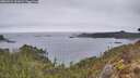 ./images/calvert/foggy-cove/20260324/foggy-cove20260324_161002M.jpg