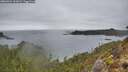 ./images/calvert/foggy-cove/20260324/foggy-cove20260324_162001M.jpg