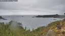 ./images/calvert/foggy-cove/20260324/foggy-cove20260324_162501M.jpg