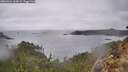 ./images/calvert/foggy-cove/20260324/foggy-cove20260324_164501M.jpg