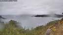 ./images/calvert/foggy-cove/20260324/foggy-cove20260324_165001M.jpg