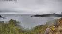 ./images/calvert/foggy-cove/20260324/foggy-cove20260324_173501M.jpg