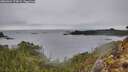 ./images/calvert/foggy-cove/20260324/foggy-cove20260324_174501M.jpg