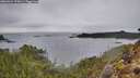 ./images/calvert/foggy-cove/20260324/foggy-cove20260324_175001M.jpg