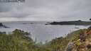 ./images/calvert/foggy-cove/20260324/foggy-cove20260324_175502M.jpg