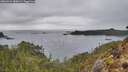 ./images/calvert/foggy-cove/20260324/foggy-cove20260324_180001M.jpg