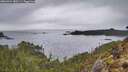 ./images/calvert/foggy-cove/20260324/foggy-cove20260324_180501M.jpg