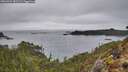 ./images/calvert/foggy-cove/20260324/foggy-cove20260324_181501M.jpg