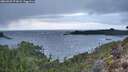 ./images/calvert/foggy-cove/20260325/foggy-cove20260325_073001M.jpg
