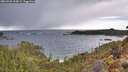 ./images/calvert/foggy-cove/20260325/foggy-cove20260325_103002M.jpg