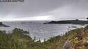 ./images/calvert/foggy-cove/20260325/foggy-cove20260325_105001M.jpg