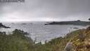./images/calvert/foggy-cove/20260325/foggy-cove20260325_105501M.jpg