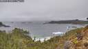 ./images/calvert/foggy-cove/20260325/foggy-cove20260325_132001M.jpg