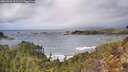 ./images/calvert/foggy-cove/20260325/foggy-cove20260325_133501M.jpg