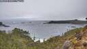 ./images/calvert/foggy-cove/20260325/foggy-cove20260325_152002M.jpg