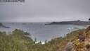 ./images/calvert/foggy-cove/20260325/foggy-cove20260325_152501M.jpg