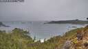 ./images/calvert/foggy-cove/20260325/foggy-cove20260325_153002M.jpg